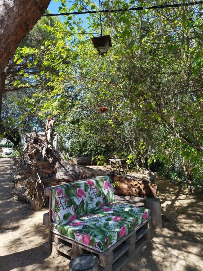 Hostal Los Pinares Lloret de Mar Bagian luar foto