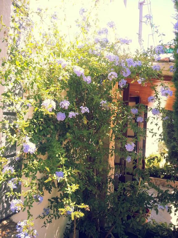 Hostal Los Pinares Lloret de Mar Bagian luar foto